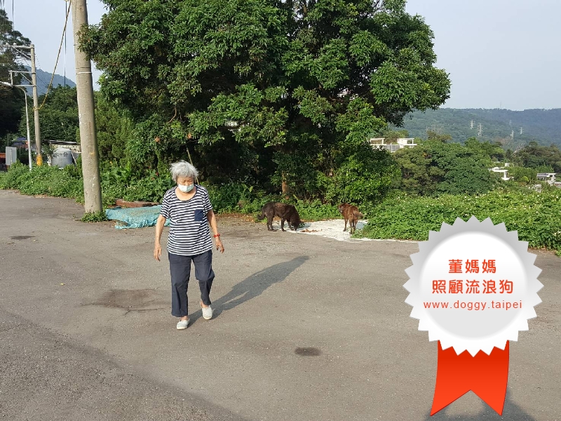 台北葬儀社 | 禮儀公司 | 新北市葬儀社推薦 | 新北市禮儀公司 | 生命禮儀服務 | 禮儀社推薦